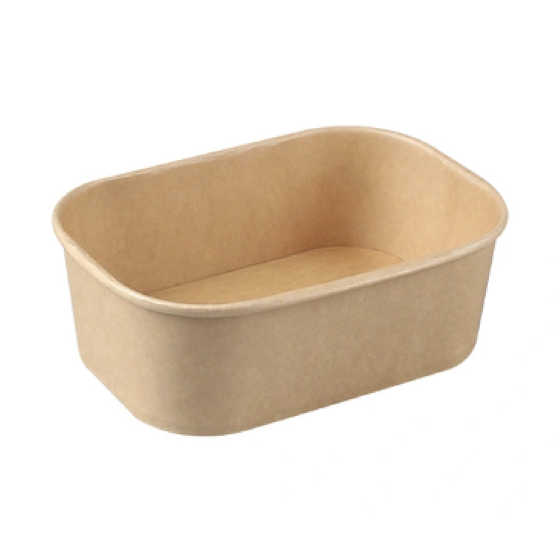 Eco-friendly Hygienic Rectangle Bowl